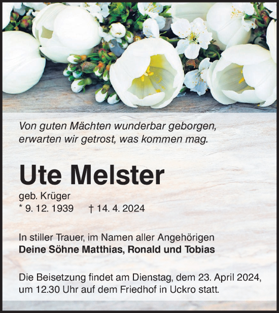 Traueranzeige von Ute Melster von Lausitzer Rundschau
