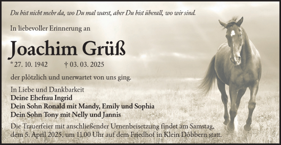 Traueranzeige von Joachim Grüß von Lausitzer Rundschau