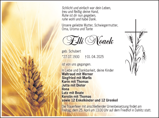 Traueranzeige von Elli Noack von Lausitzer Rundschau