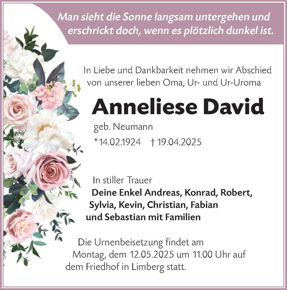  Traueranzeige für Anneliese David vom 03.05.2025 aus Lausitzer Rundschau