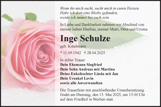 Traueranzeige von Inge Schulze von Lausitzer Rundschau