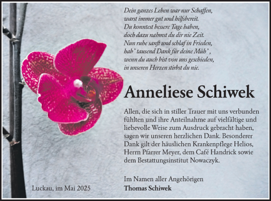 Traueranzeige von Anneliese Schiwek von Lausitzer Rundschau