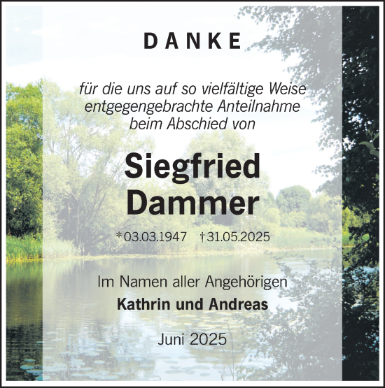 Traueranzeige von Siegfried Dammer von Lausitzer Rundschau